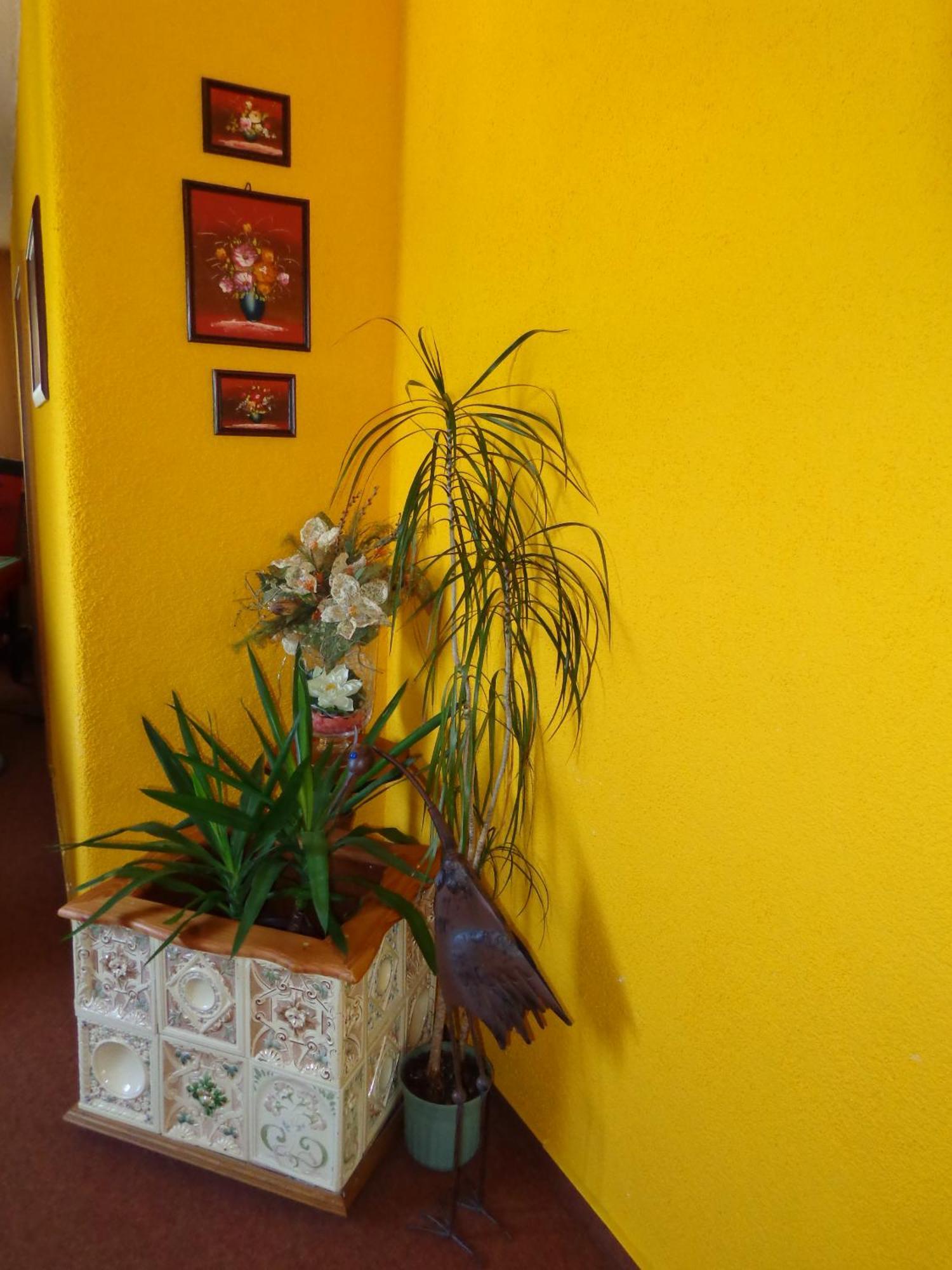 Pension Sonnenhuegel Markersdorf Екстер'єр фото