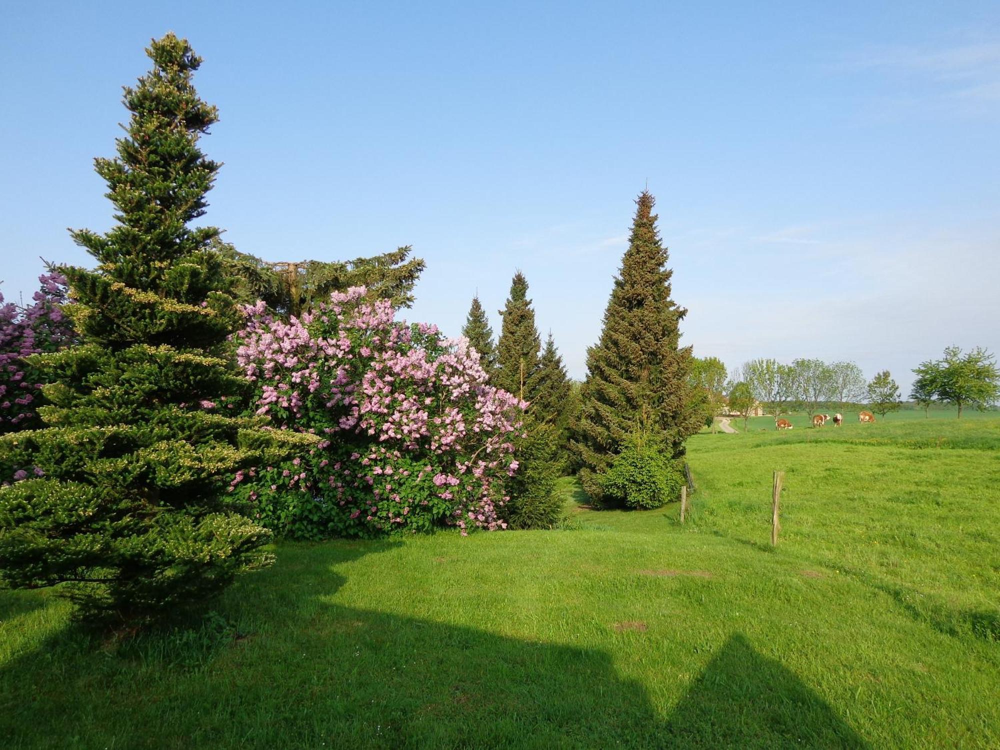 Pension Sonnenhuegel Markersdorf Екстер'єр фото